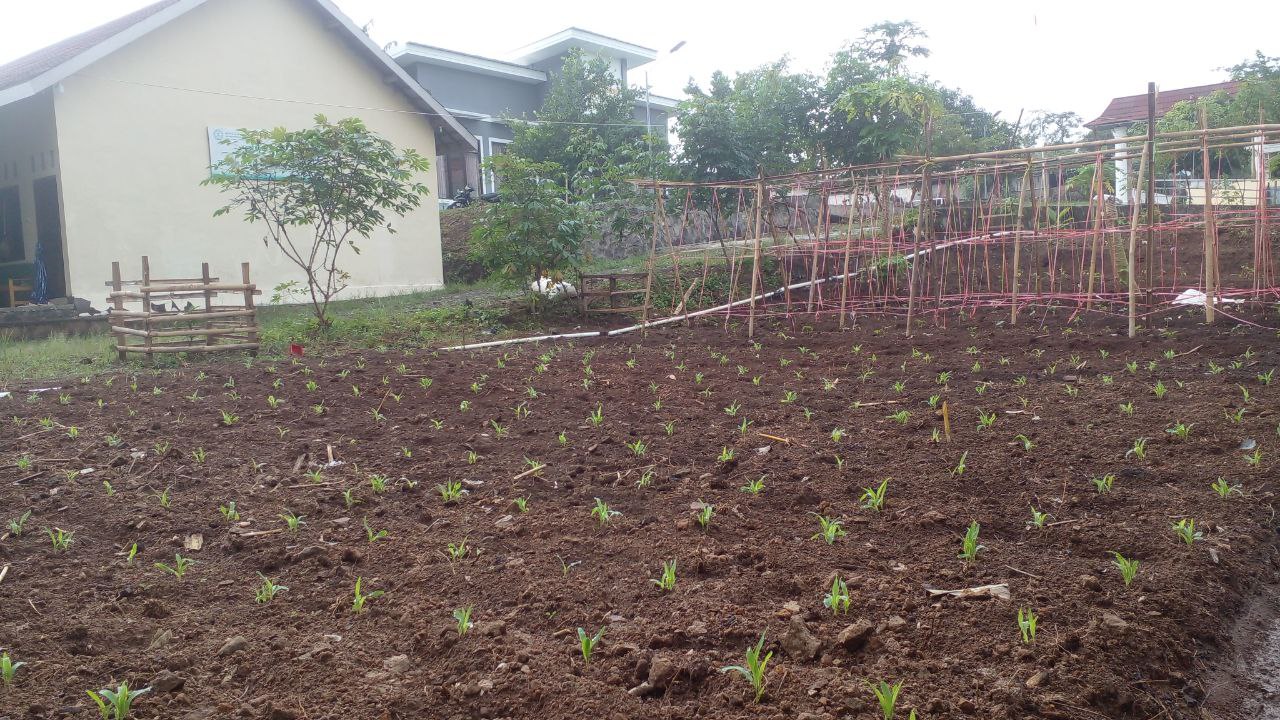 Lahan Sayur dan Ternak Edukatif